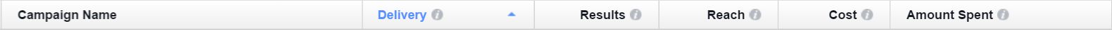 Facebook Ads Manager Results