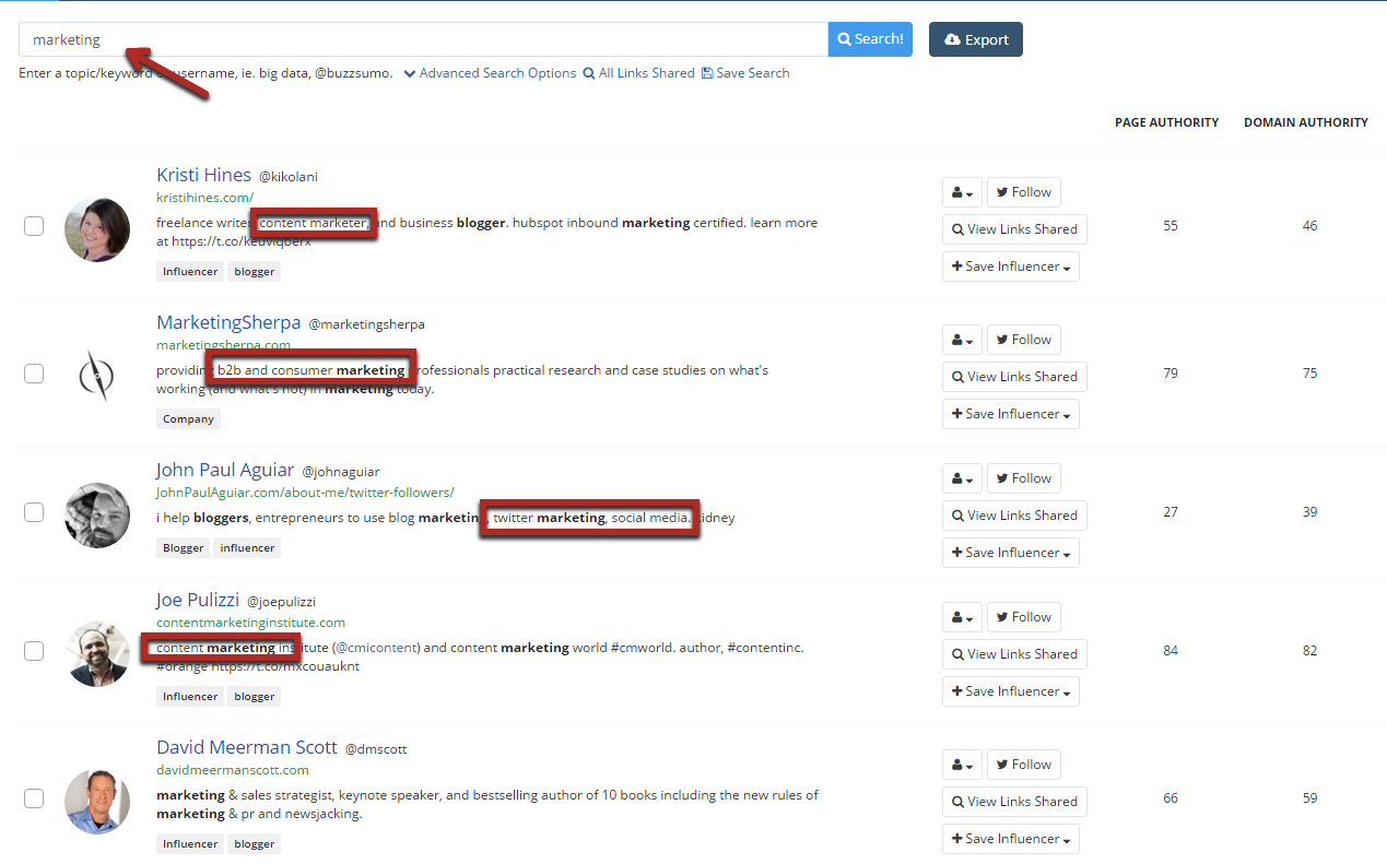 BuzzSumo Influencers